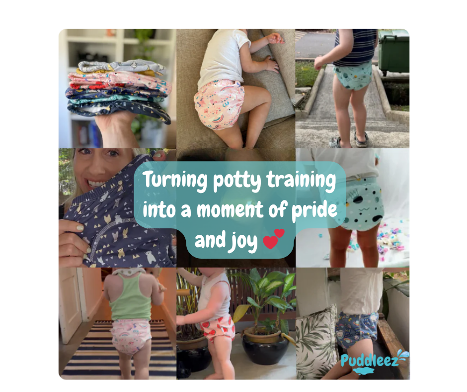 Potty Training Underwear