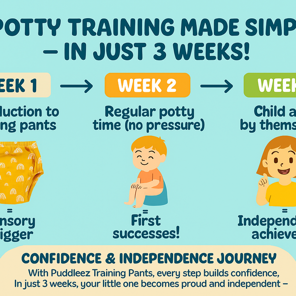 Potty Training Underwear