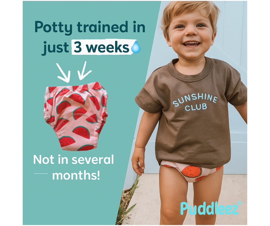 Potty Training Underwear