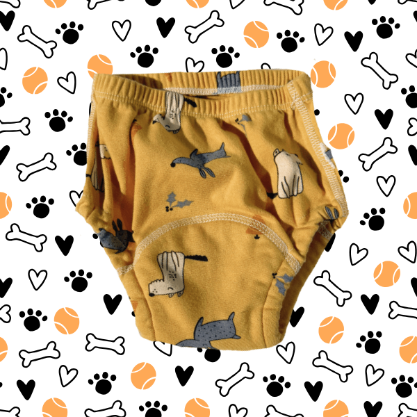 culottes d'apprentissage puddleez